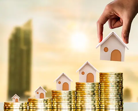Why-Property